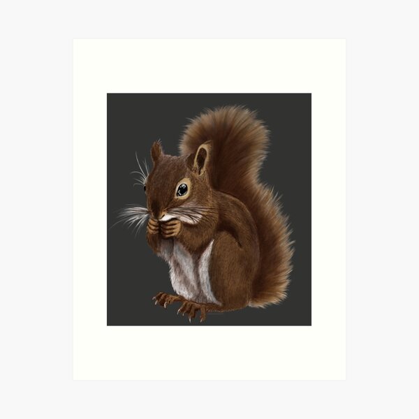 Item preview, Squirrel Drawing designed and sold by Amberakart.