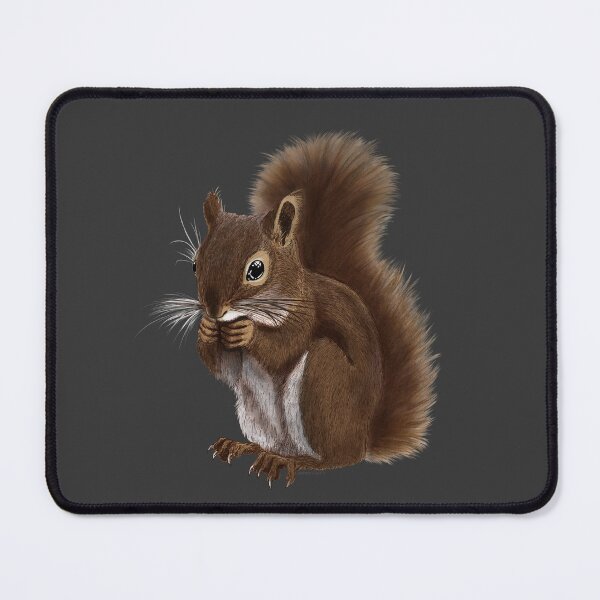 Item preview, Squirrel Drawing designed and sold by Amberakart.