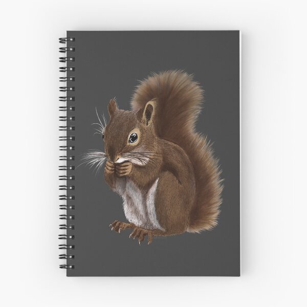 Item preview, Squirrel Drawing designed and sold by Amberakart.