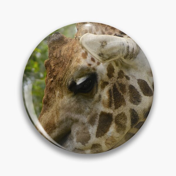 Item preview, Giraffe Tongue designed and sold by MercerImages.