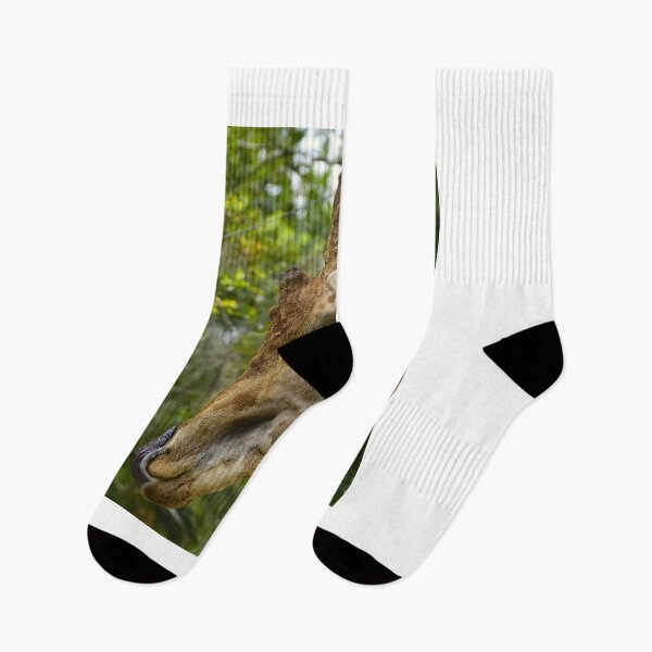 Item preview, Giraffe Tongue designed and sold by MercerImages.