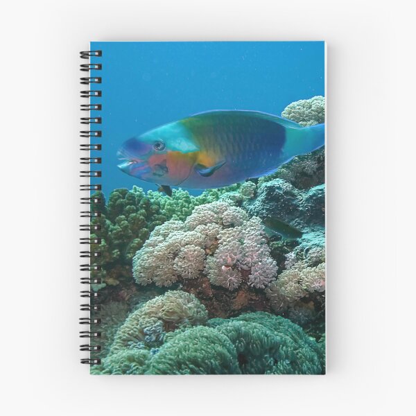 Item preview, Red Sea Coral Reef designed and sold by likbatonboot.