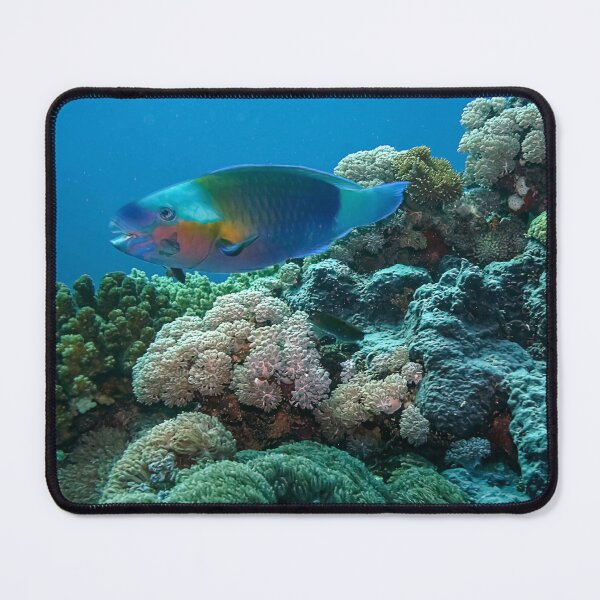 Item preview, Red Sea Coral Reef designed and sold by likbatonboot.