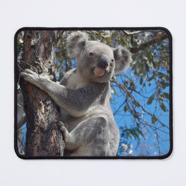 Item preview, K O A L A designed and sold by Penny Kittel.