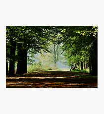 Once again enjoying the spring bench Photographic Print