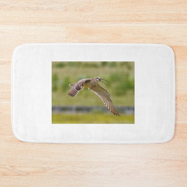 Item preview,  Whimbrel (Numenius phaeopus) in Kirkjubæjarklaustur in Iceland designed and sold by Klaus Offermann.