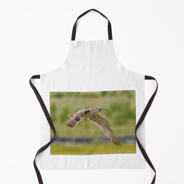 Item preview, Whimbrel (Numenius phaeopus) in Kirkjubæjarklaustur in Iceland designed and sold by Klaus Offermann.