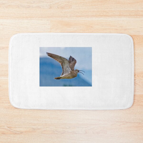 Item preview, Whimbrel (Numenius phaeopus) in Kirkjubæjarklaustur in Iceland designed and sold by Klaus Offermann.