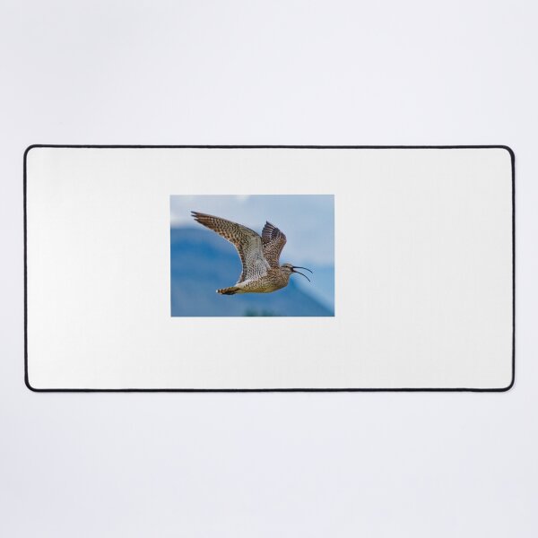 Item preview, Zarapito Zarapito (Numenius phaeopus) en Kirkjubæjarklaustur en Islandia designed and sold by Klaus Offermann.