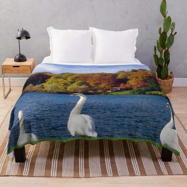 Item preview, Swans at Stourhead designed and sold by JonDelorme.