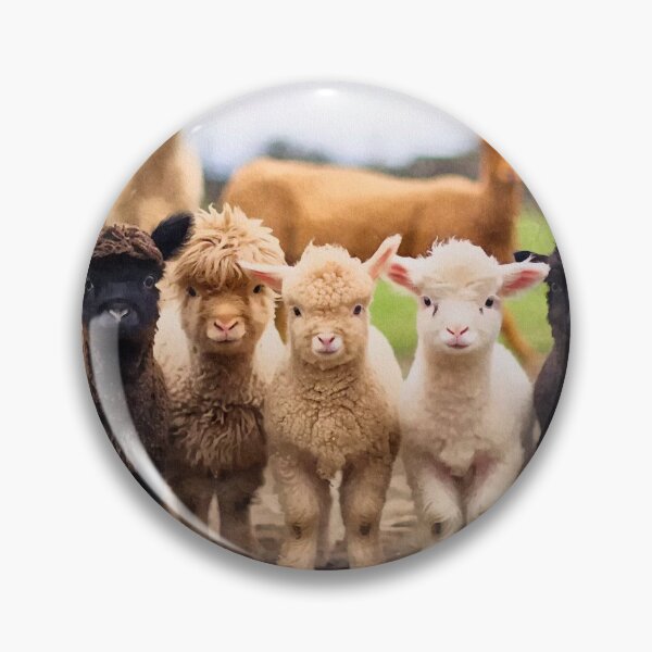 Item preview, Farm Babies - Cute Baby Sheep  designed and sold by bimbleDIY.