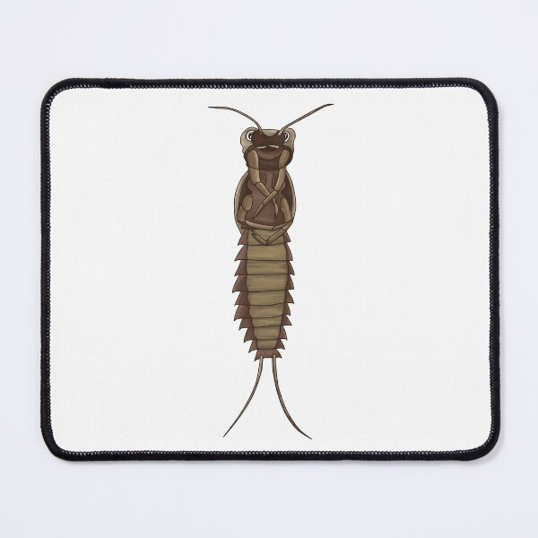Item preview, back of Aquatic Insect Larvae designed and sold by clearrhalley.