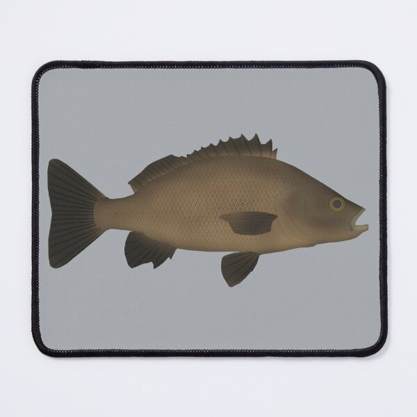 Item preview, Sooty Grunter designed and sold by fishfolkart.