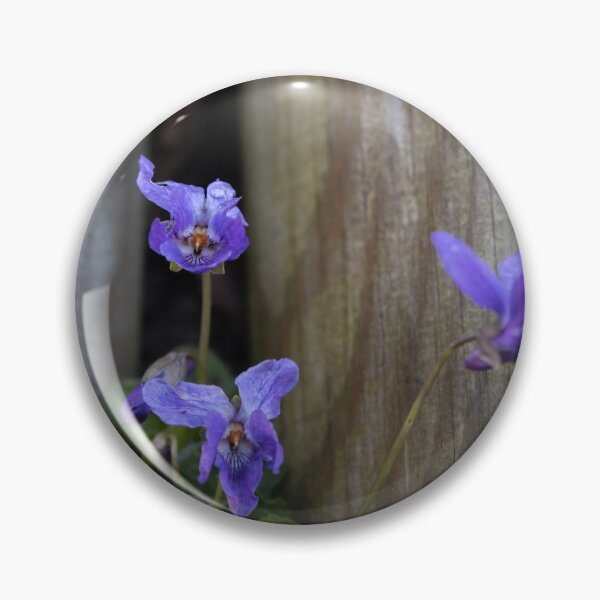 Item preview, English Violet designed and sold by Calidris Fotografie Steffi & Ben Köppler.