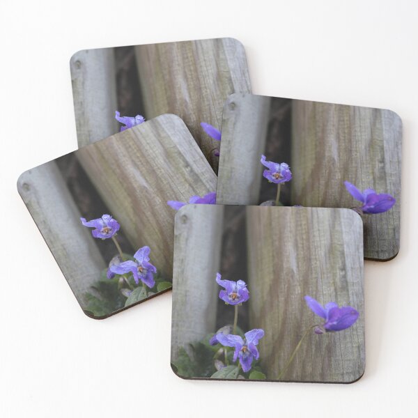 Item preview, English Violet designed and sold by Calidris Fotografie Steffi & Ben Köppler.