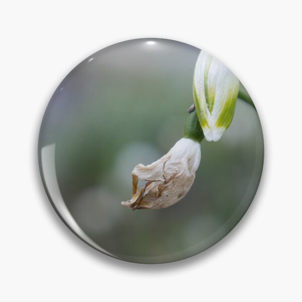 Item preview, Spring Snowflake designed and sold by Calidris Fotografie Steffi & Ben Köppler.