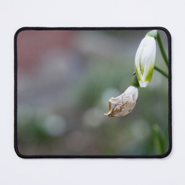 Item preview, Spring Snowflake designed and sold by Calidris Fotografie Steffi & Ben Köppler.