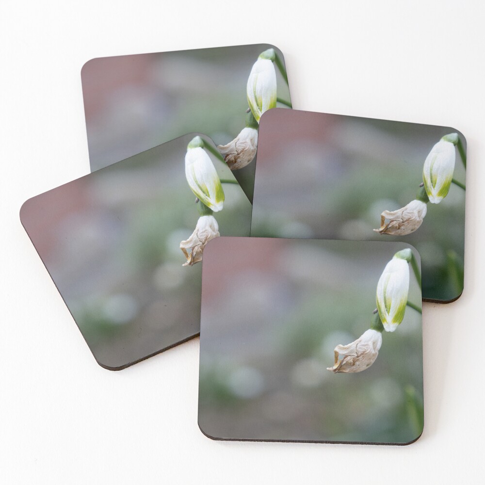 Item preview, Coasters (Set of 4) designed and sold by steffik.