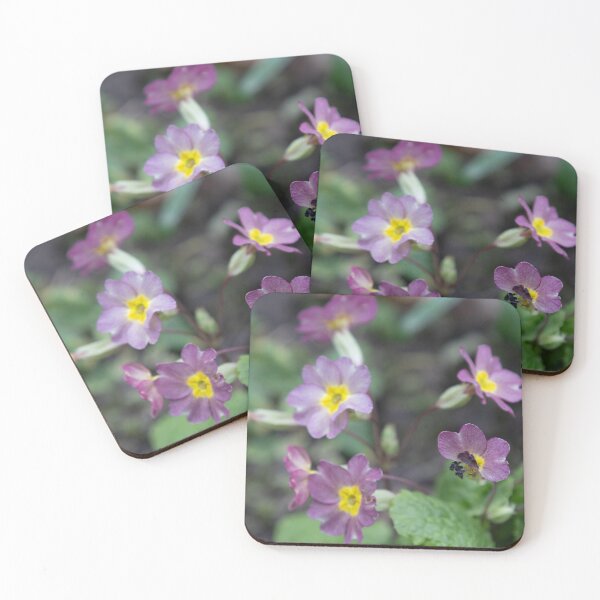 Item preview, Primrose designed and sold by Calidris Fotografie Steffi & Ben Köppler.