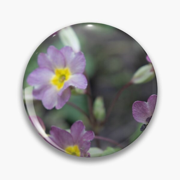Item preview, Primrose designed and sold by Calidris Fotografie Steffi & Ben Köppler.