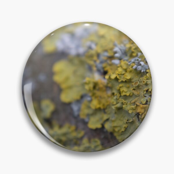 Item preview, Yellow Scale designed and sold by Calidris Fotografie Steffi & Ben Köppler.