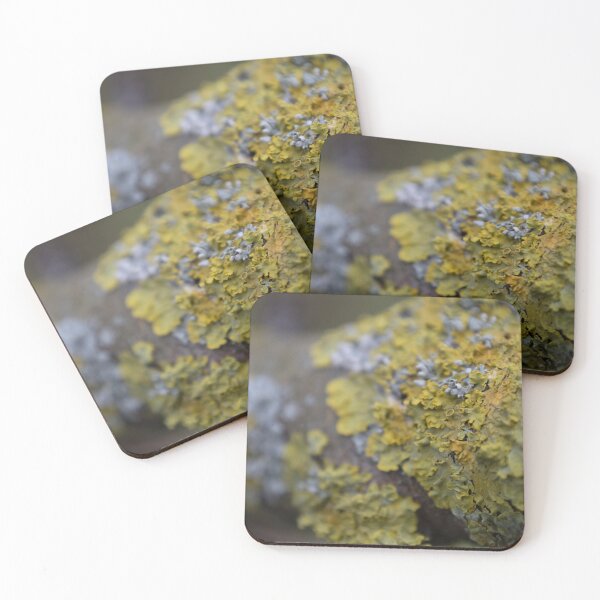 Item preview, Yellow Scale designed and sold by Calidris Fotografie Steffi & Ben Köppler.