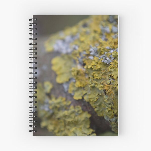 Item preview, Yellow Scale designed and sold by Calidris Fotografie Steffi & Ben Köppler.