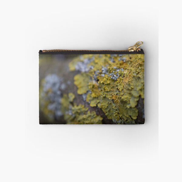 Item preview, Yellow Scale designed and sold by Calidris Fotografie Steffi & Ben Köppler.