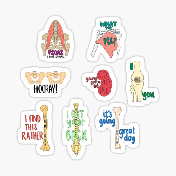 Artikel-Vorschau von Anatomie-Wortspielpaket!, designt und verkauft von emmakdesigns.