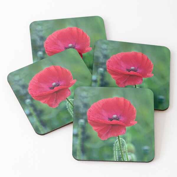 Item preview, Solitary Poppy designed and sold by Tom McPherson Photography.