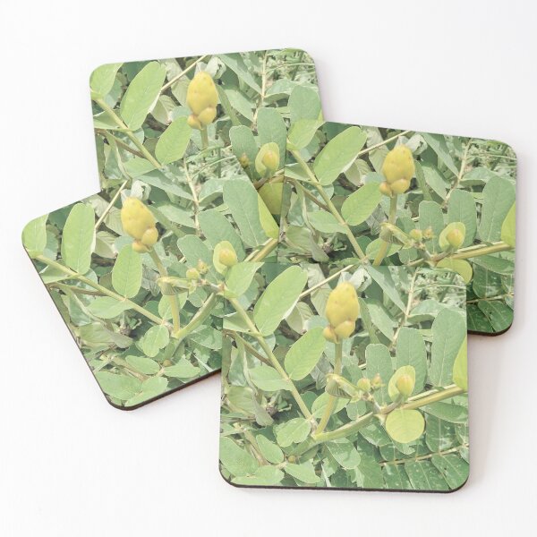 Item preview, GREEN FLOWER designed and sold by Wolagno.