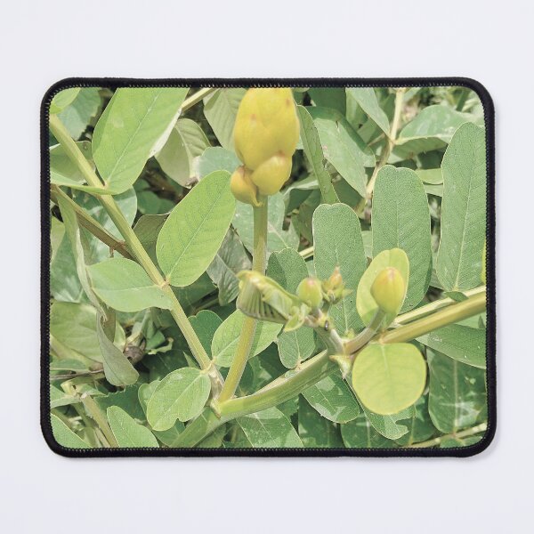 Item preview, GREEN FLOWER designed and sold by Wolagno.
