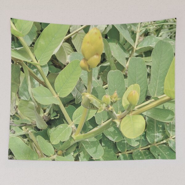 Item preview, GREEN FLOWER designed and sold by Wolagno.