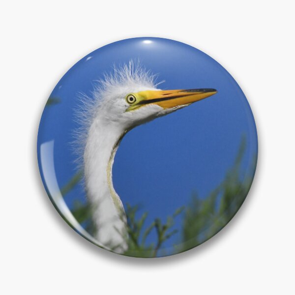 Item preview, Peekaboo Great Egret Chick designed and sold by richardbryce.