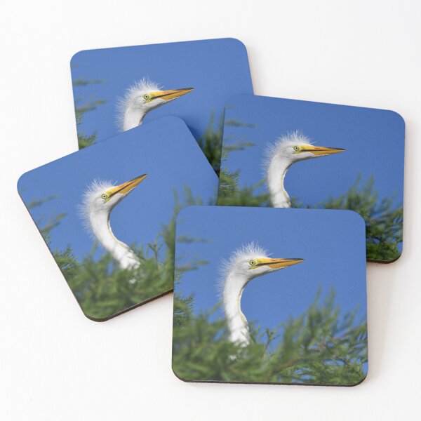 Item preview, Peekaboo Great Egret Chick designed and sold by richardbryce.