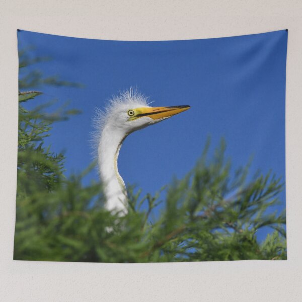 Item preview, Peekaboo Great Egret Chick designed and sold by richardbryce.