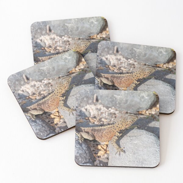 Item preview, Lizard Among Rocks designed and sold by SafariByMarisa.