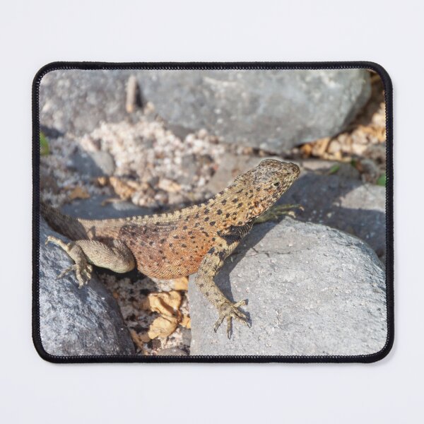 Item preview, Lizard Among Rocks designed and sold by SafariByMarisa.