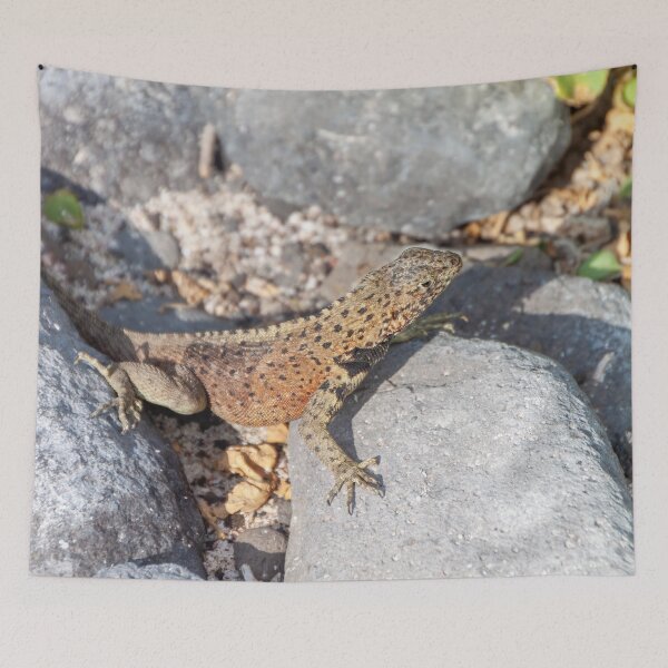 Item preview, Lizard Among Rocks designed and sold by SafariByMarisa.