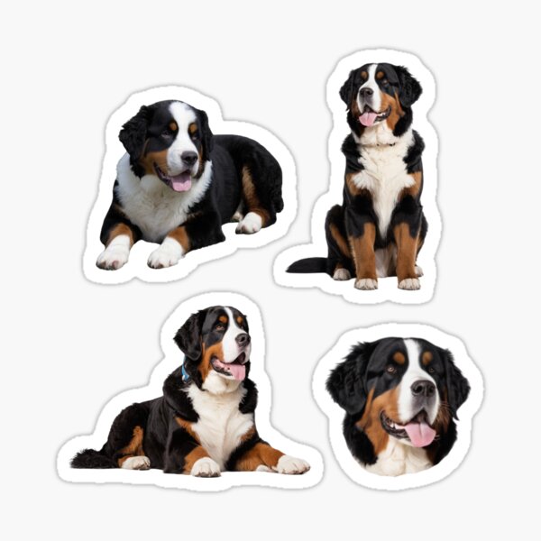 Item preview, Bernese Mountain Dog pack designed and sold by SOUFIANE1991.