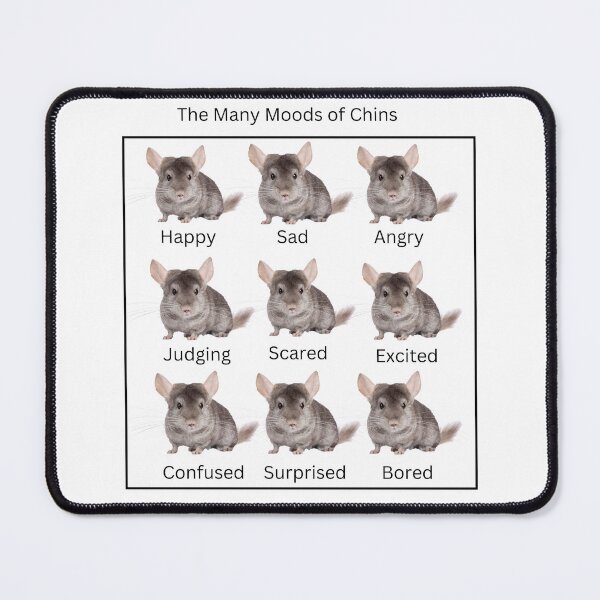 Item preview, The Many Moods of a Chinchilla, stickers and stuff designed and sold by Smallfish1274.
