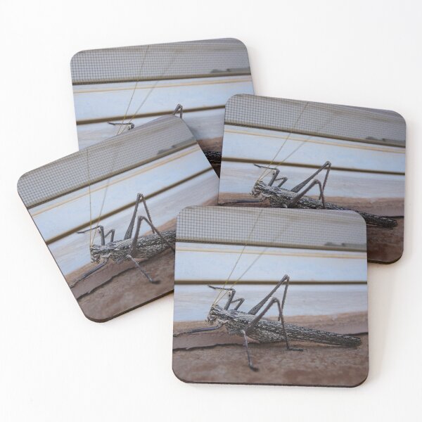 Item preview, Big Bug designed and sold by RJsphotography and More.