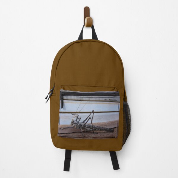 Item preview, Big Bug designed and sold by RJsphotography and More.