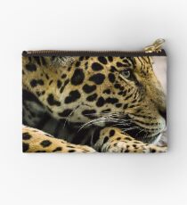 Spirit of the Jaguar Studio Pouch