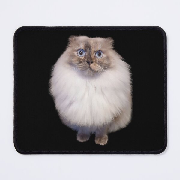 Item preview, Fluffy Cat Surprise designed and sold by NicoDesignArt.