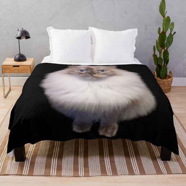Item preview, Fluffy Cat Surprise designed and sold by NicoDesignArt.