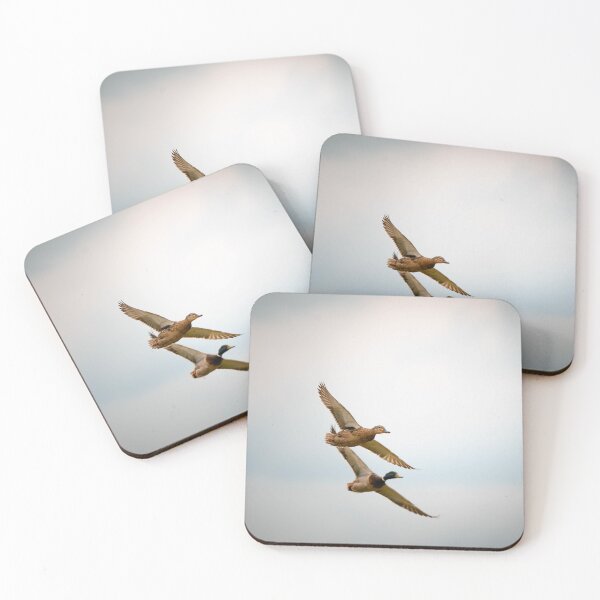 Item preview, Mallard Duck designed and sold by MTPhotos1406.