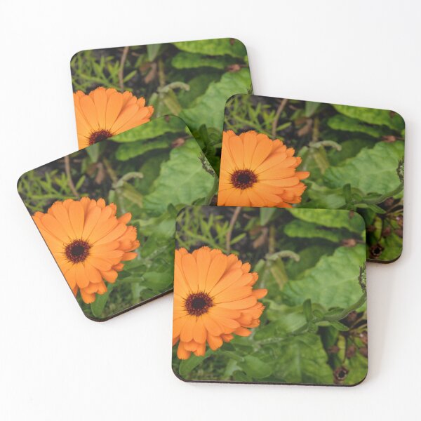 Item preview, Two Calendulas(Pot Marigold) designed and sold by jasminewang.