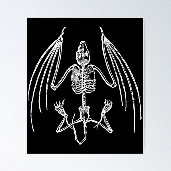 Artikelvorschau, Vampir Bat Skelett entworfen und verkauft von GothFashion.