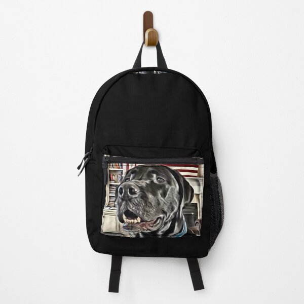Item preview, Service dog Coastie USA flag designed and sold by Ron Macy.